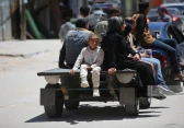 أرشيفية