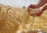 "الفاو" تحذر من النقص في الغذاء بسبب حرب إيران