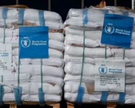 الأغذية العالمي يعلن وقف مساعداته لنصف مليون شخص في غزة