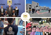 تدخلات الحكومة