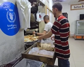 توقف عدد من مخابر غزة التي تعمل مع الأغذية العالمي