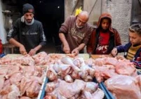 اقتصاد غزة ترفع نظام توزيع الكوتا على المجمدات