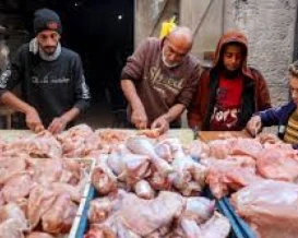 اقتصاد غزة ترفع نظام توزيع الكوتا على المجمدات