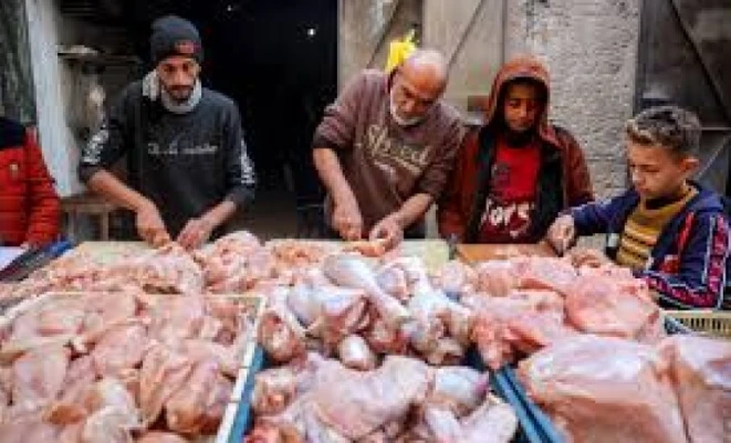 اقتصاد غزة ترفع نظام توزيع الكوتا على المجمدات