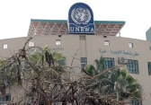 شعار الأونروا