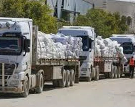دخول 264 شاحنة إلى غزة الثلاثاء