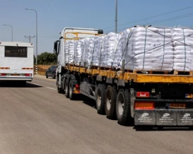 239 شاحنة دخلت إلى فطاع غزة الإثنين