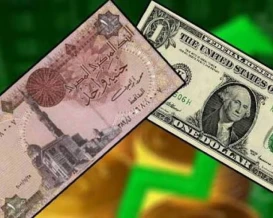 الجنيه يستقر أمام الدولار.. مصر تتخطي أزمة هروب الأموال الساخنة