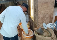 طواقم حماية المستهلك تنفذ جولات رقابية غرب غزة