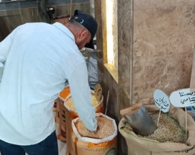 طواقم حماية المستهلك تنفذ جولات رقابية غرب غزة
