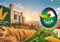 في 8 أشهر.. المطاحن وعزيزا الأعلى نموا ببورصة فلسطين