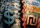 سعر الدولار