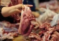 أزمة في سوق اللحوم بعد توقف مسلخ رام الله بشكل مفاجئ