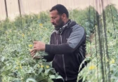 القطاع الزراعي