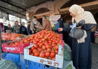 وزارة الزراعة تواصل جهودها لخفض أسعار المنتجات الزراعية في قطاع غزة