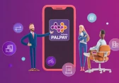 شركة PalPay