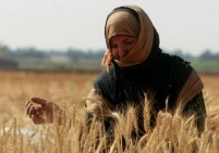 وزارة العمل تطلق "ائتلاف تمكينها" لدعم المرأة ودمجها في سوق العمل