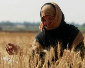 وزارة العمل تطلق "ائتلاف تمكينها" لدعم المرأة ودمجها في سوق العمل