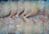 إتلاف 20 طن من الدجاج المُجمّد الفاسد جنوب قطاع غزة