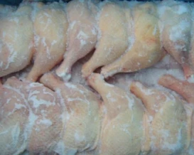 إتلاف 20 طن من الدجاج المُجمّد الفاسد جنوب قطاع غزة