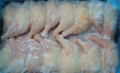 إتلاف 20 طن من الدجاج المُجمّد الفاسد جنوب قطاع غزة