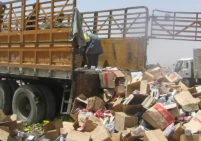 مباحث التموين تضبط أكثر من 6 أطنان مواد غذائية تالفة في جنوب قطاع غزة