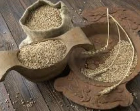 تعاون روسي مصري لتأسيس بورصة حبوب ضمن إطار "بريكس"