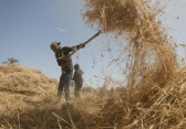 أرشيفية