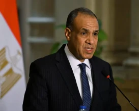 وزير الخارجية المصري: استكمال المرحلة الأولى من خطة غزة أولوية